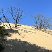 Review photo of Indiana Dunes State Park Campground by Duncan G., July 6, 2022