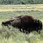 Review photo of Juniper Campground — Theodore Roosevelt National Park by Duncan G., July 6, 2022