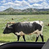 Review photo of Juniper Campground — Theodore Roosevelt National Park by Duncan G., July 6, 2022