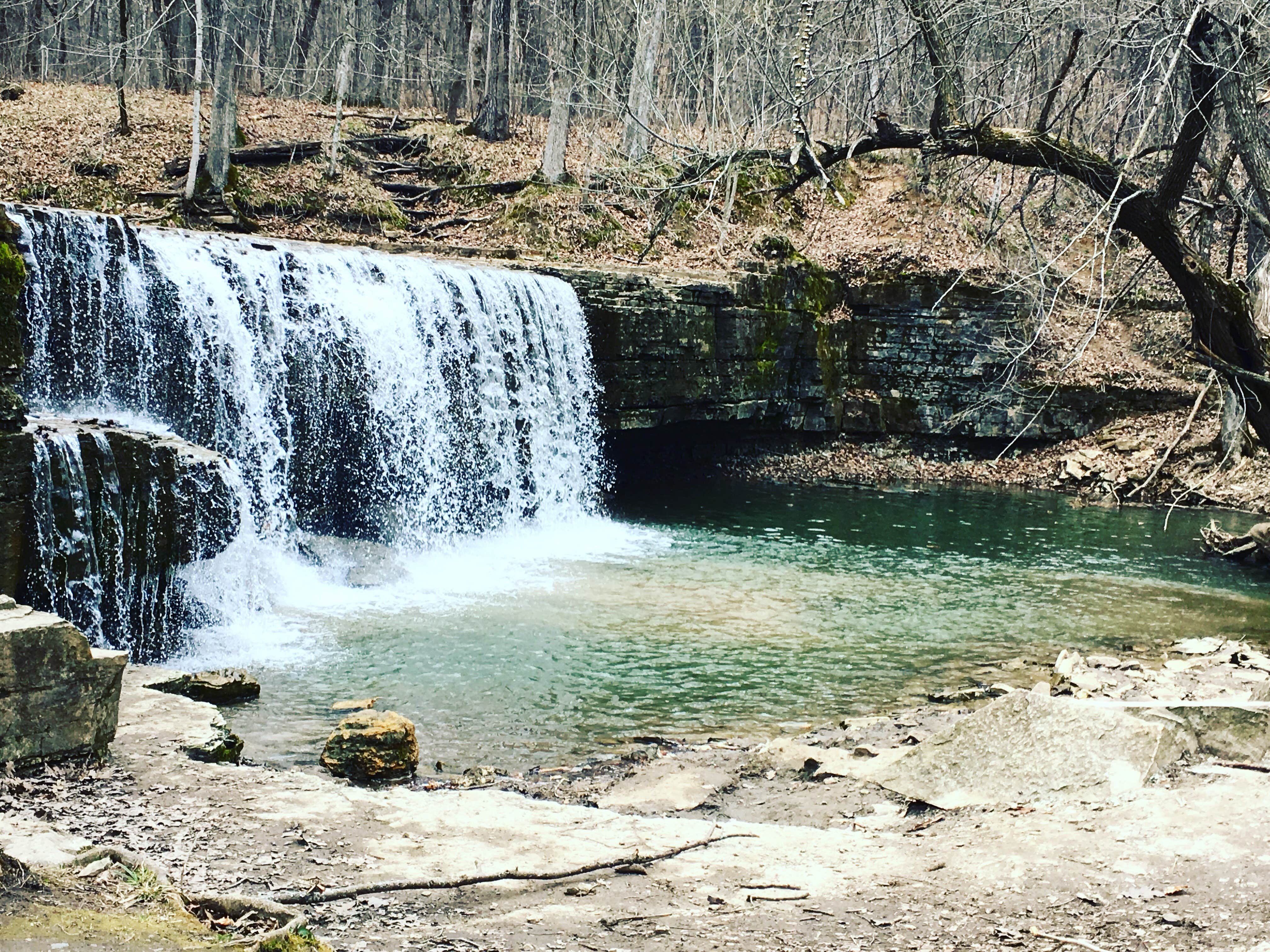 Camper-submitted photo at Nerstrand Big Woods State Park Campground near Skyline, MN