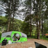 Review photo of New River Alleghany Access Primitive Paddle-in — New River State Park by Jessica B., July 6, 2022