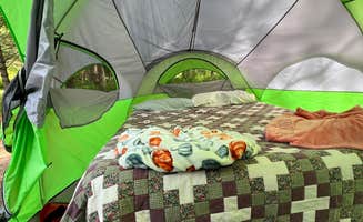 Jessica B.'s photo at New River Alleghany Access Primitive Paddle-in — New River State Park near West Jefferson, NC