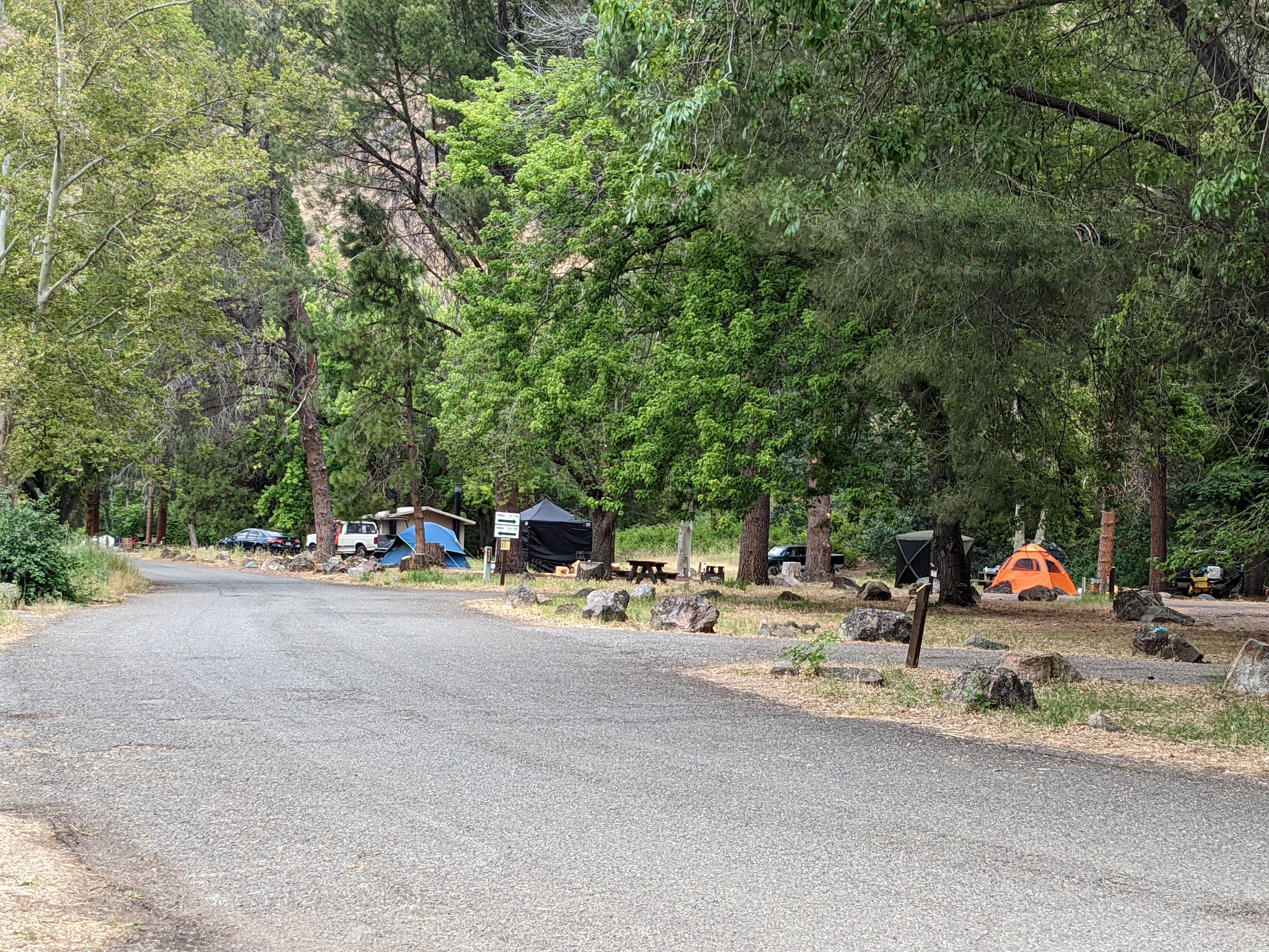 Camper-submitted photo at Tree Of Heaven Campground near Greenview, CA