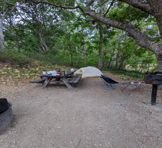 Camper-submitted photo from Mcbride Springs Campground
