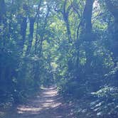 Review photo of Rock Cut State Park Campground by theresa , July 6, 2022