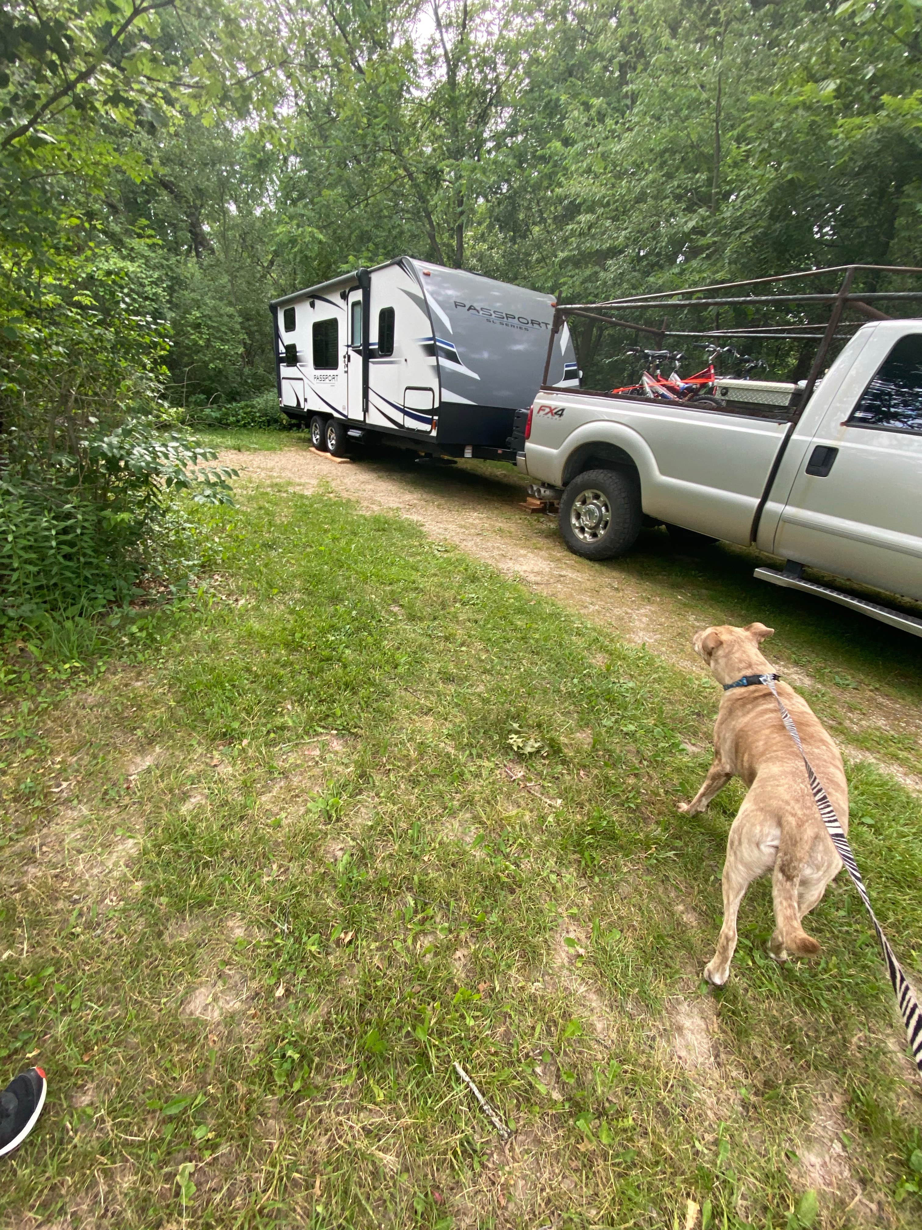 theresa's photo of camping with pets at Rock Cut State Park - Staghorn Campground near Elburn, IL