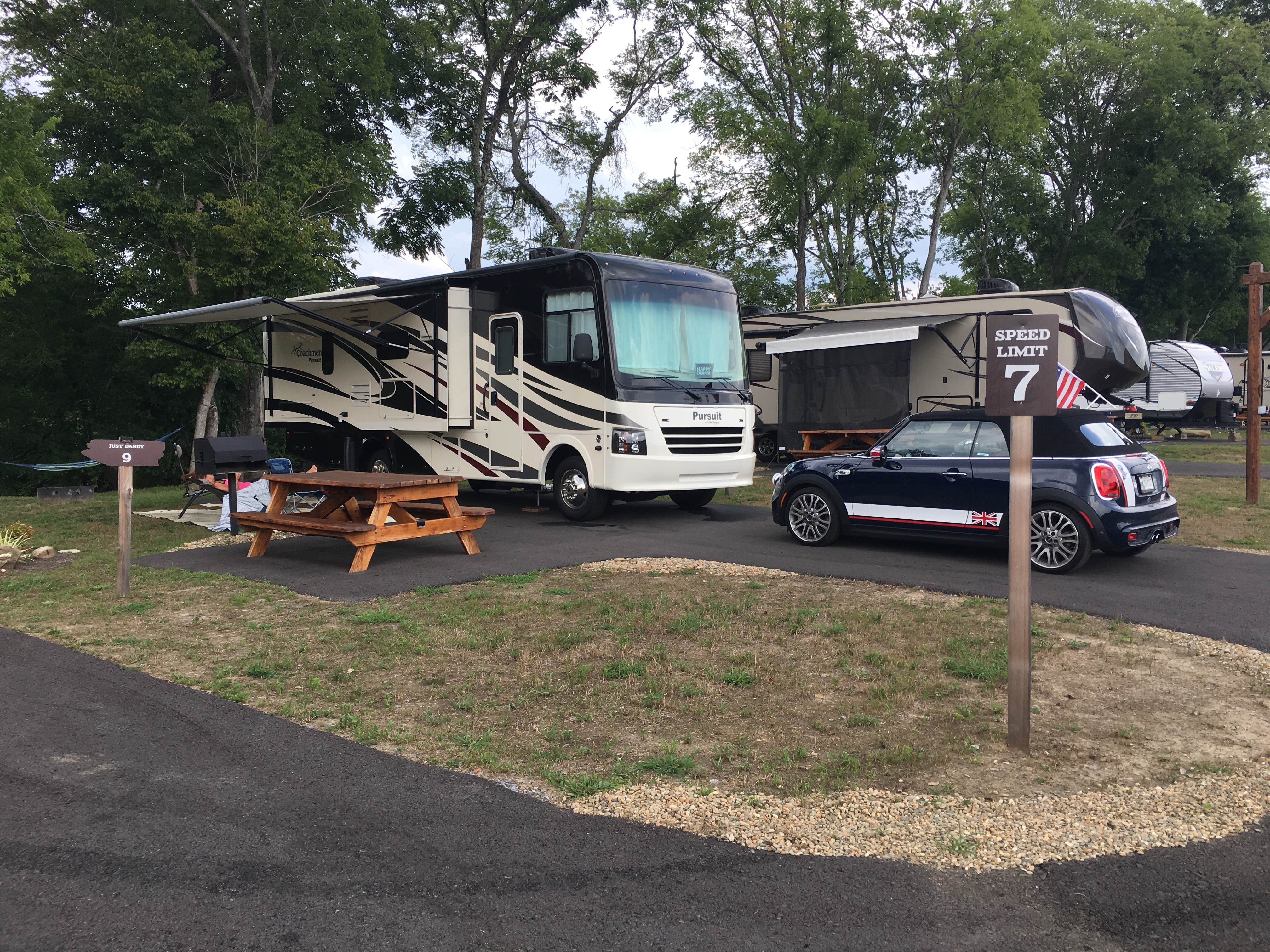 Camper submitted image from Buddy Bear In The Smokies Campground - 5