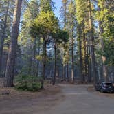 Review photo of North Grove Campground — Calaveras Big Trees State Park by xi C., July 6, 2022