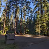 Review photo of North Grove Campground — Calaveras Big Trees State Park by xi C., July 6, 2022