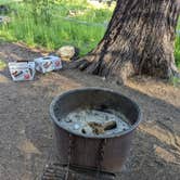 Review photo of North Grove Campground — Calaveras Big Trees State Park by xi C., July 6, 2022