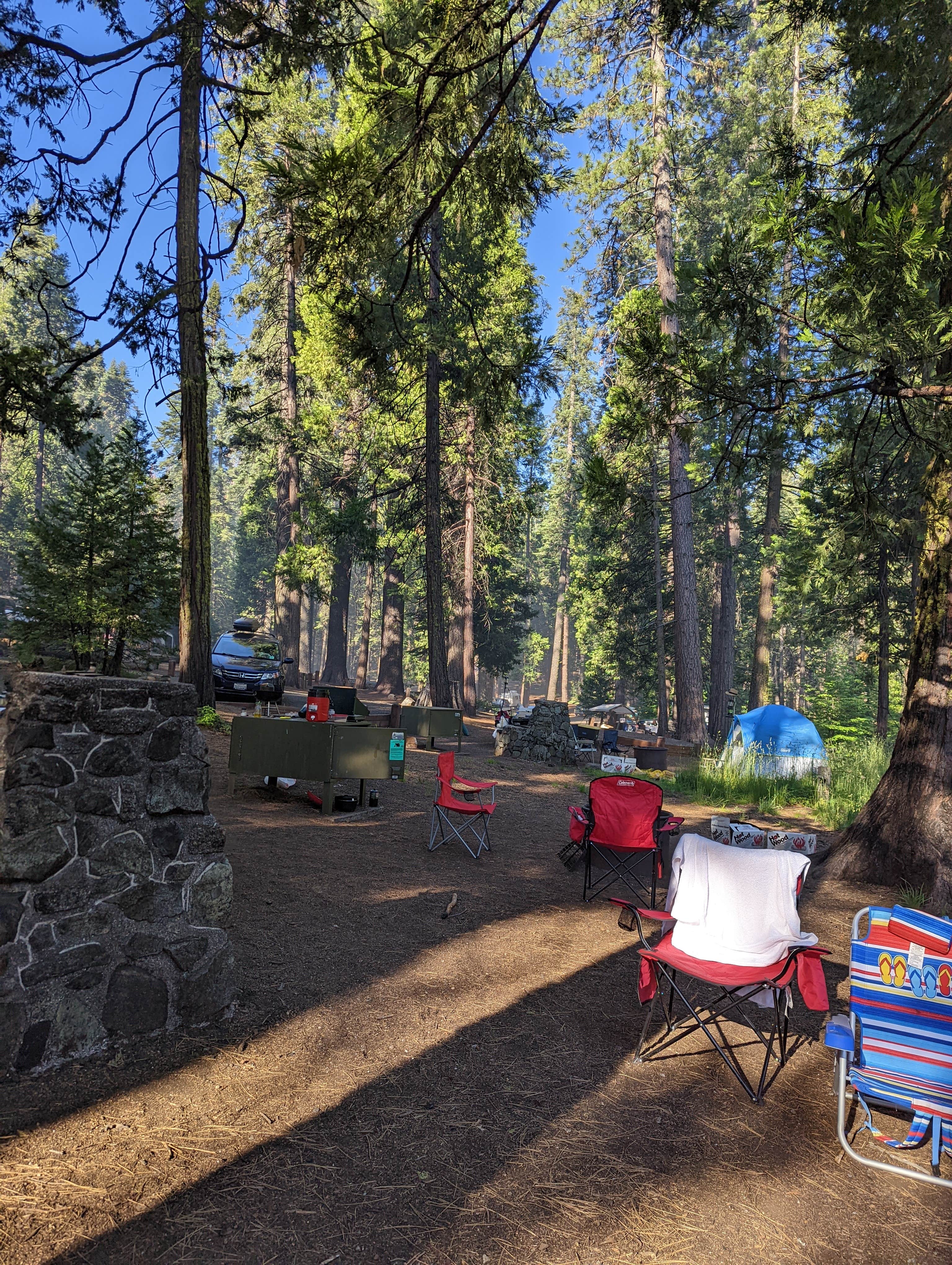 xi C.'s photo of tent camping at North Grove Campground — Calaveras Big Trees State Park near Angels, CA
