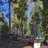 Review photo of North Grove Campground — Calaveras Big Trees State Park by xi C., July 6, 2022