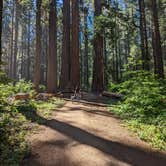 Review photo of North Grove Campground — Calaveras Big Trees State Park by xi C., July 6, 2022