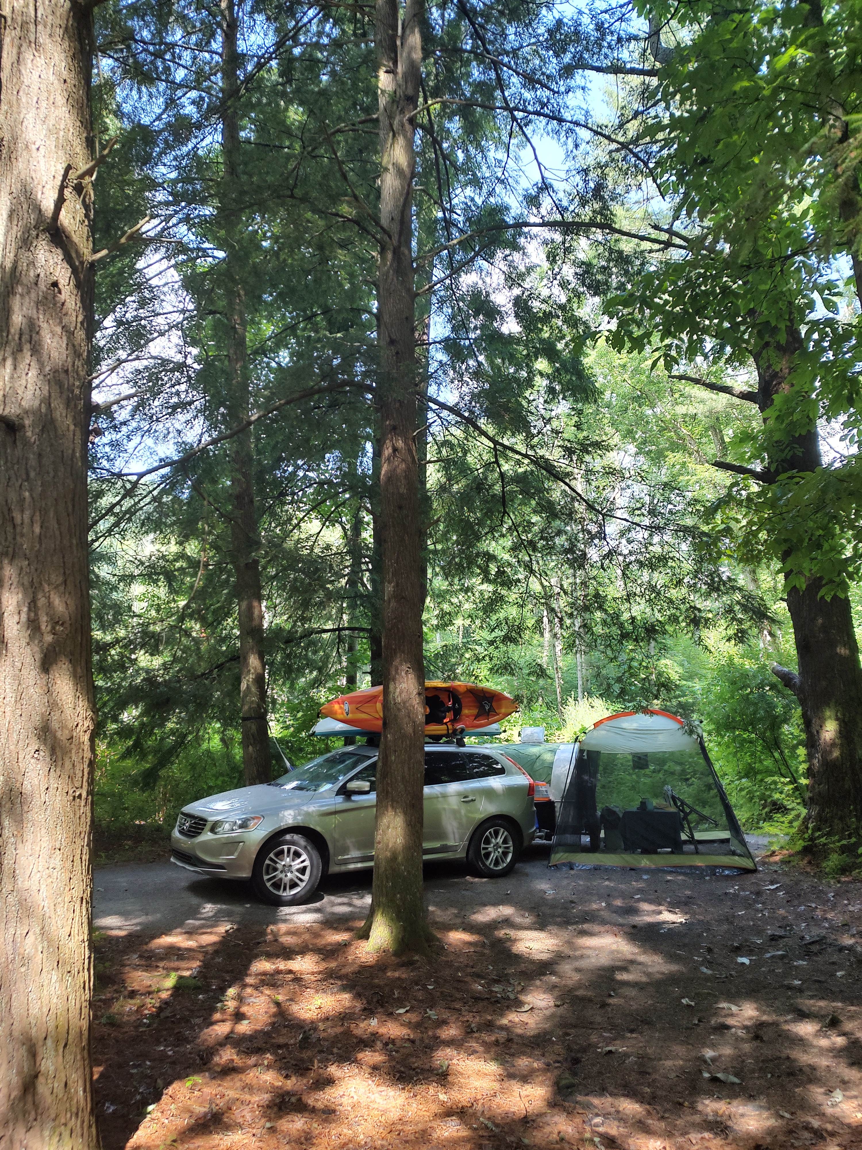 Nathan F.'s photo at Dennis Cove Campground near Hampton, TN