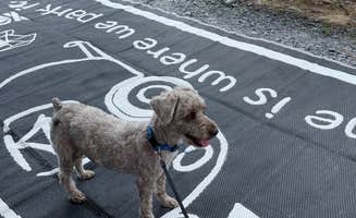 Josh Q.'s photo of camping with pets at Yogi Bear's Jellystone Park at Asheboro near High Point, NC