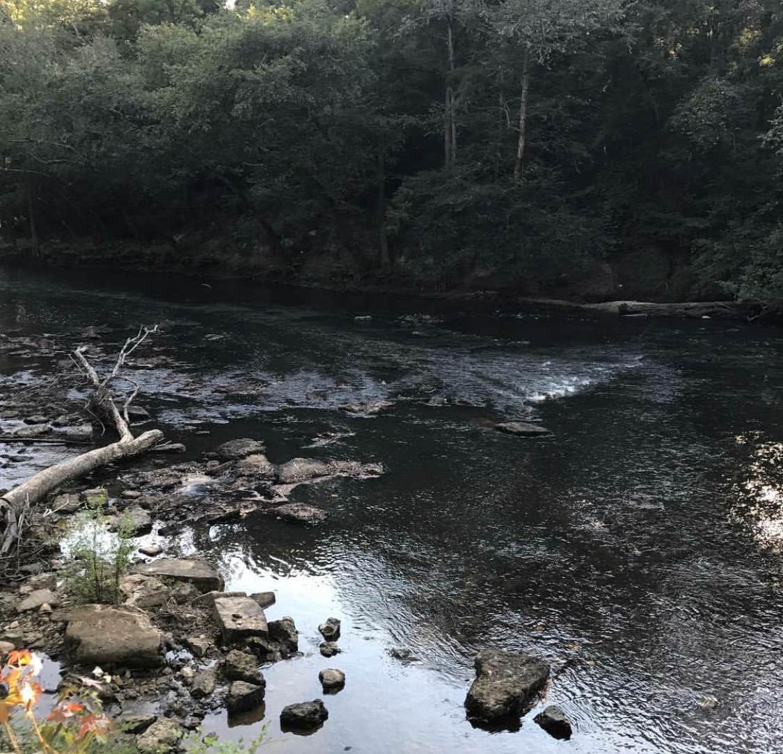 Camper-submitted photo at Dunns Falls Water Park near Quitman, MS