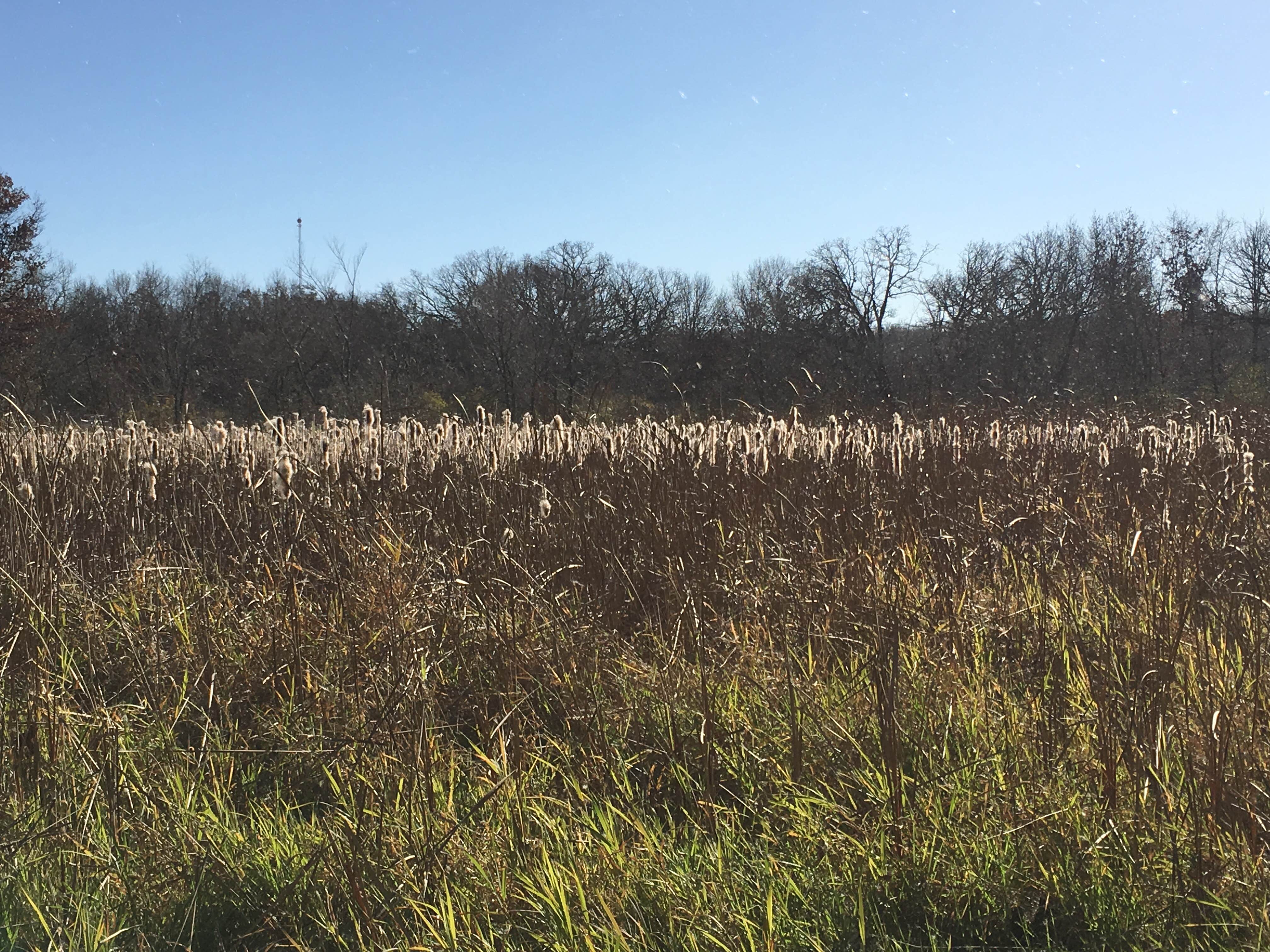 Camper-submitted photo at Red Fox Campground — Minneopa State Park near North Mankato, MN