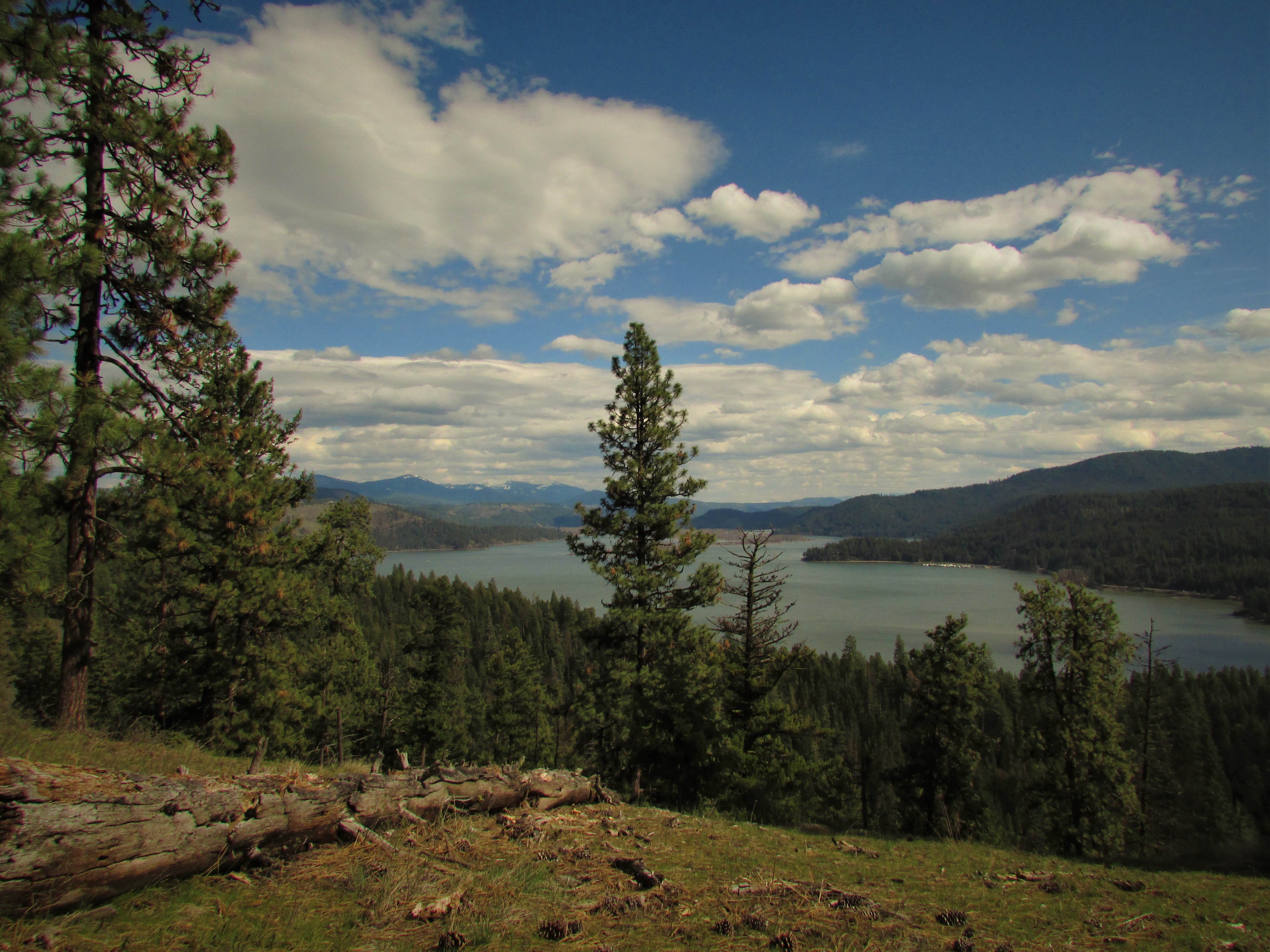 Camper-submitted photo at Hawleys Landing Campground — Heyburn State Park near St. Maries, ID