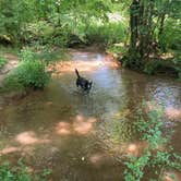 Review photo of Panther Creek State Park Campground by Phillip W., July 7, 2022