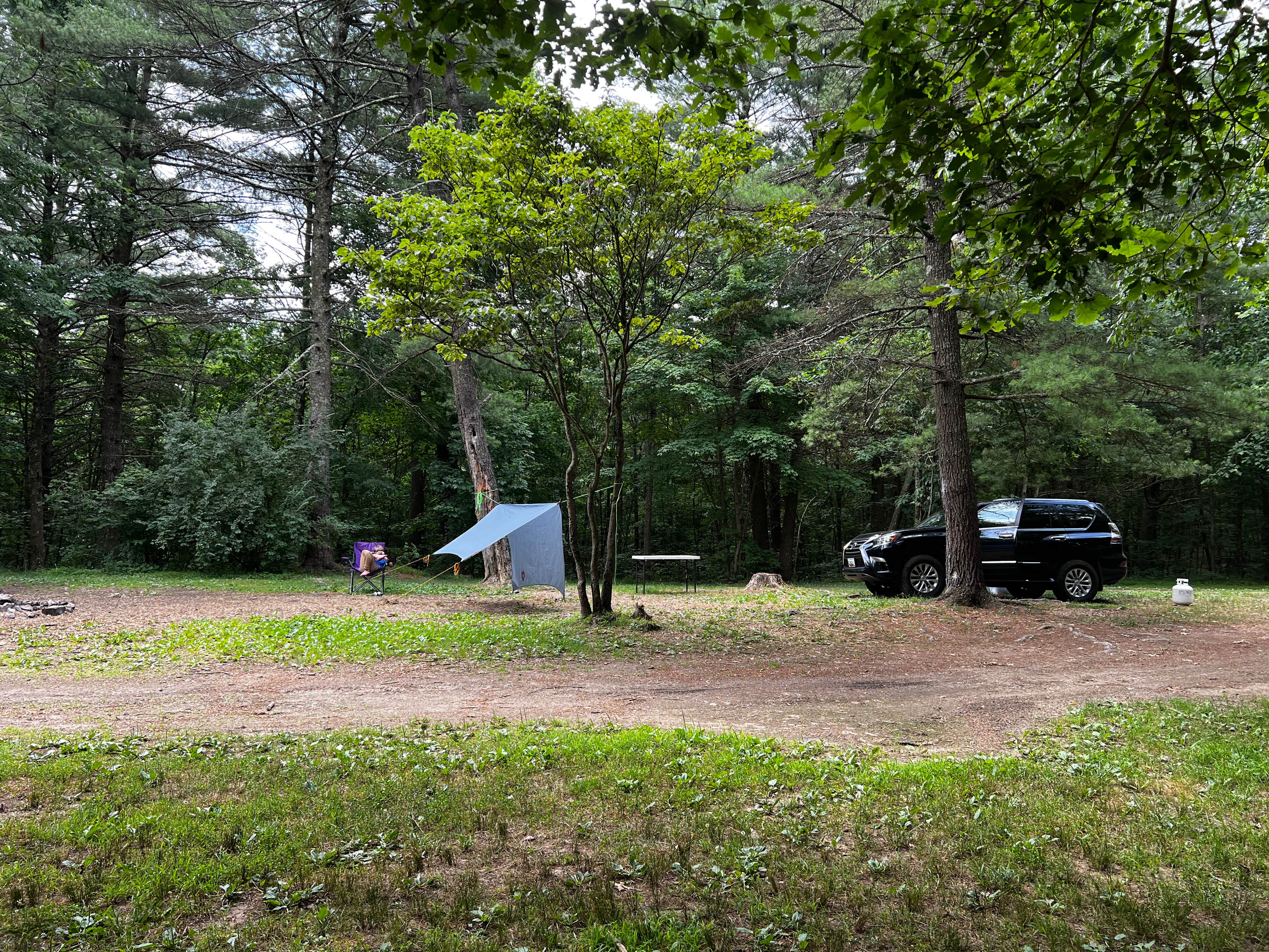 Kevin T.'s photo at Green Ridge State Forest near Cumberland, MD