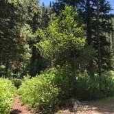 Review photo of Swan Creek Campground by allison W., June 30, 2022