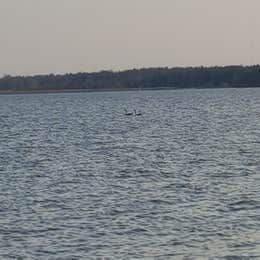 Lake McMurtry West Campground