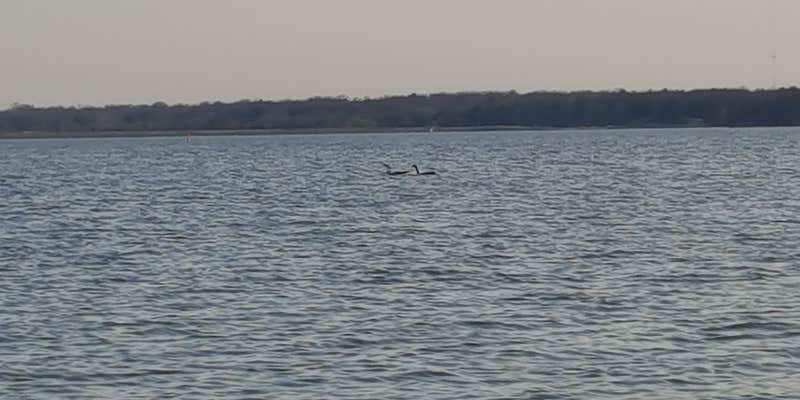 Camper submitted image from Lake McMurtry West Campground