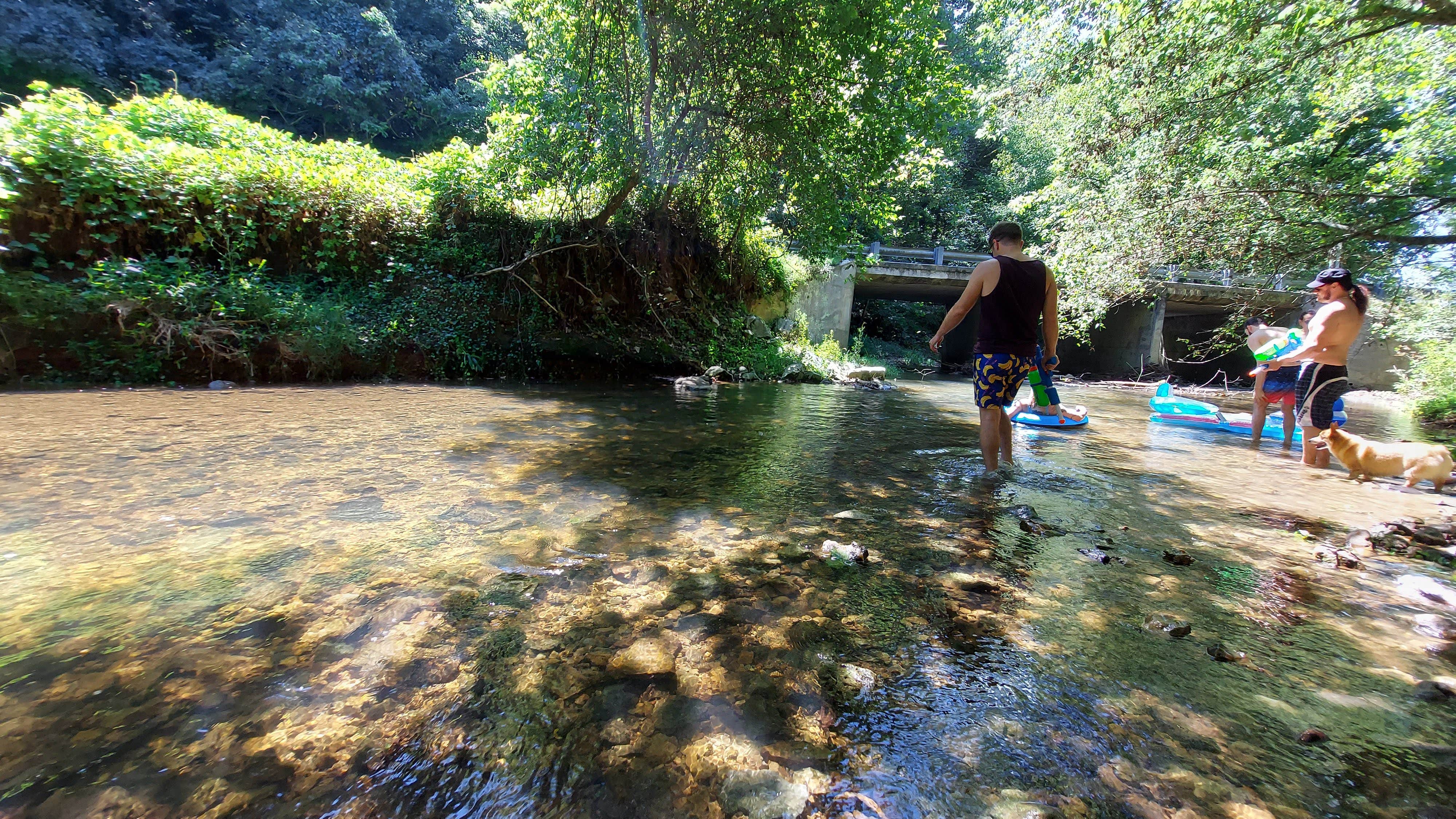 Lindsey H.'s photo of camping with pets at Caney Hollow Creek Retreat near Lynchburg, Moore County, TN