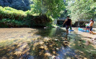 Lindsey H.'s photo of camping with pets at Caney Hollow Creek Retreat near Normal, AL