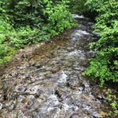 Review photo of Fish Creek Campground — Glacier National Park by allison W., July 7, 2022