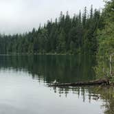 Review photo of Fish Creek Campground — Glacier National Park by allison W., July 7, 2022