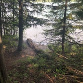 Review photo of Fish Creek Campground — Glacier National Park by allison W., July 7, 2022