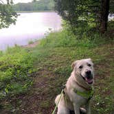 Review photo of Equestrian Campground — Ferne Clyffe State Park by Hannah H., July 7, 2022