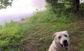 Hannah H.'s photo of camping with pets at Equestrian Campground — Ferne Clyffe State Park near Olive Branch, IL