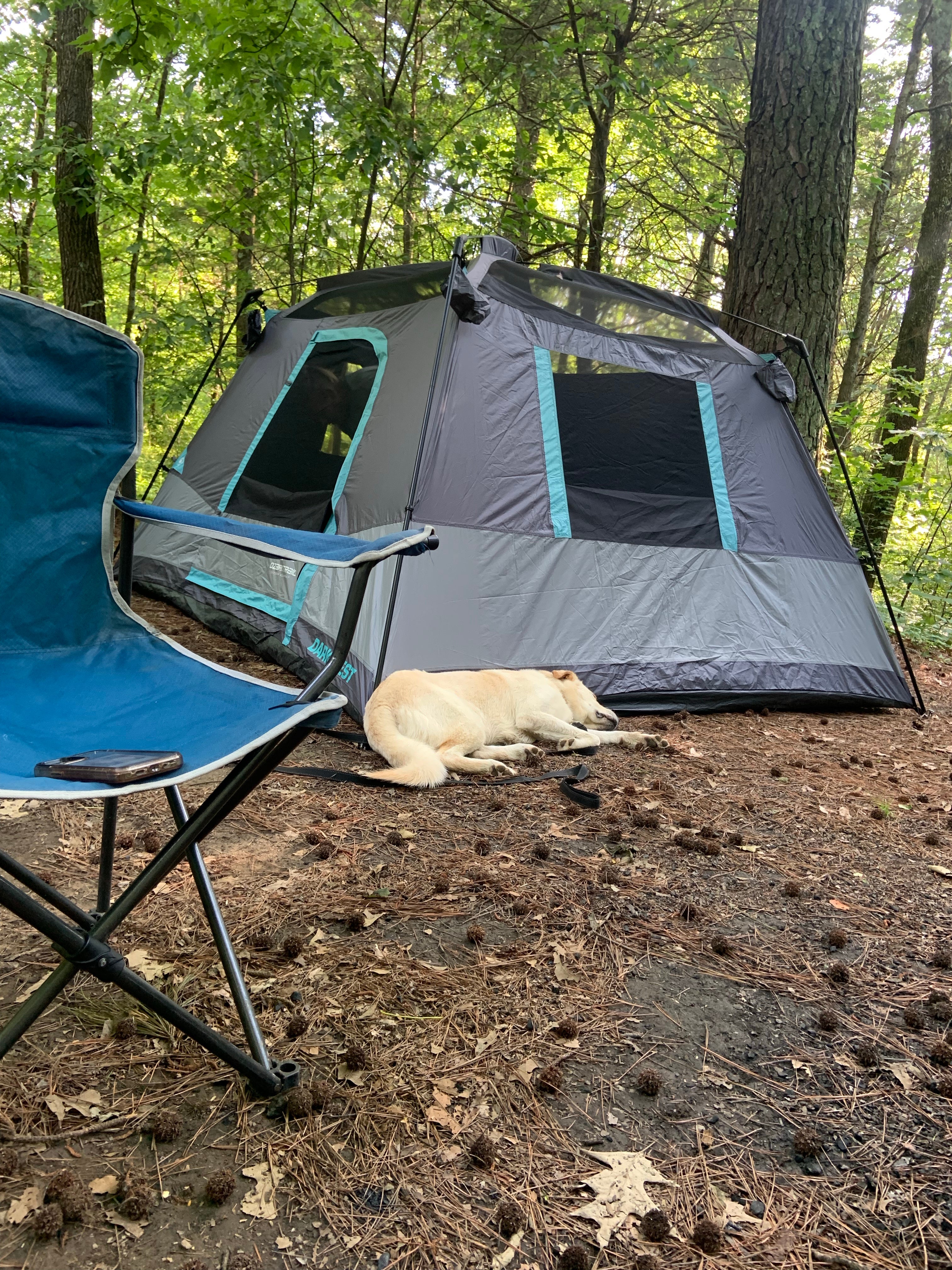 Camper submitted image from Equestrian Campground — Ferne Clyffe State Park - 1