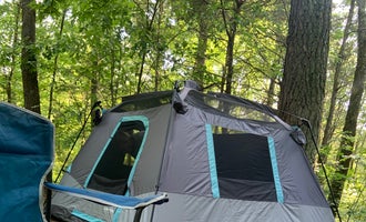 Camping near Buck Ridge  -  Lake Of Egypt: Equestrian Campground — Ferne Clyffe State Park, Goreville, Illinois