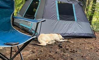 Hannah H.'s photo at Equestrian Campground — Ferne Clyffe State Park near Grantsburg, IL