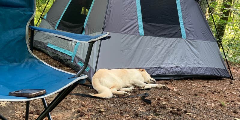 Camper submitted image from Equestrian Campground — Ferne Clyffe State Park
