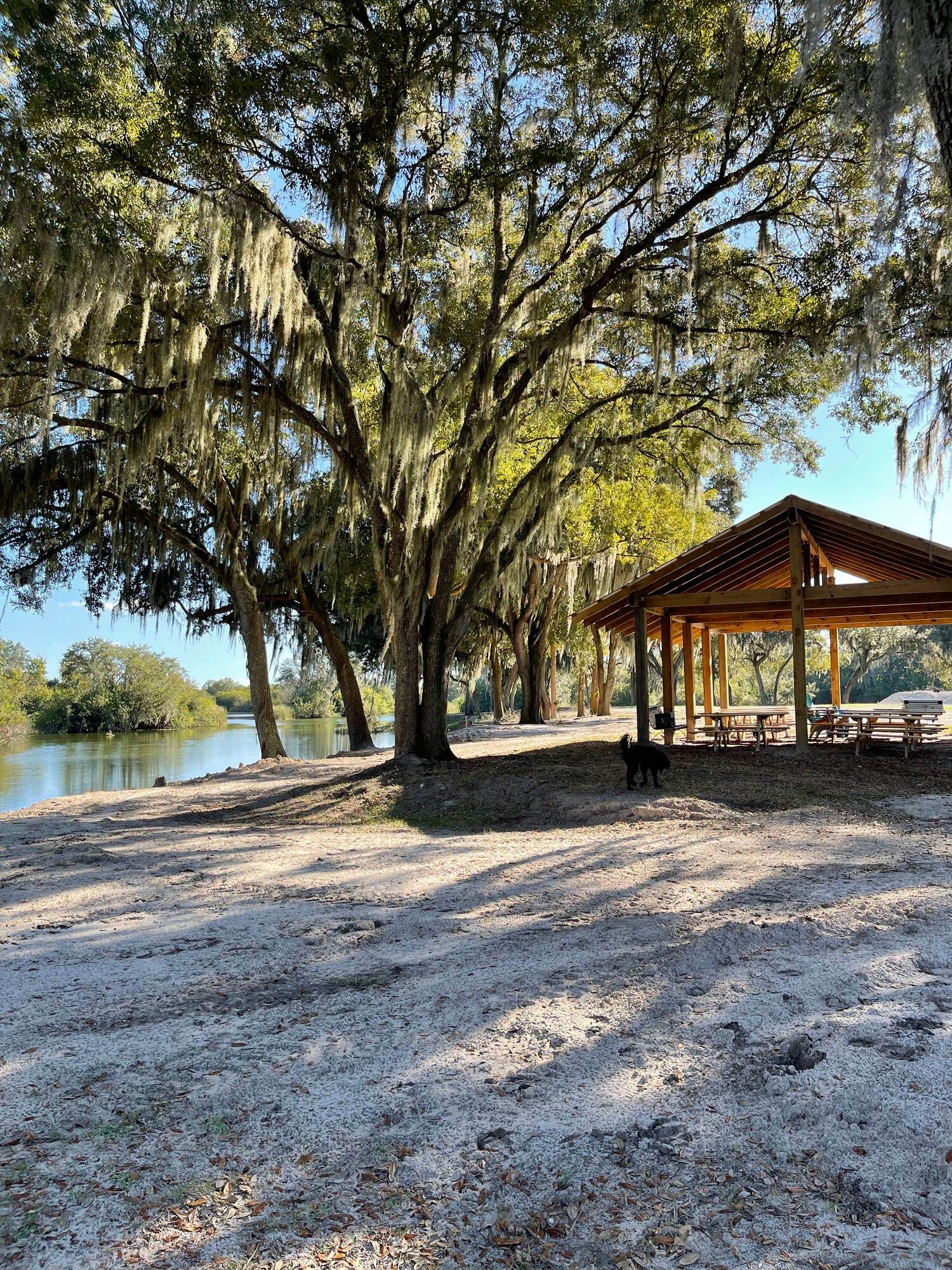 Camper-submitted photo at Wilderness Shores Ranch & RV/Tent Campground near Bartow, FL