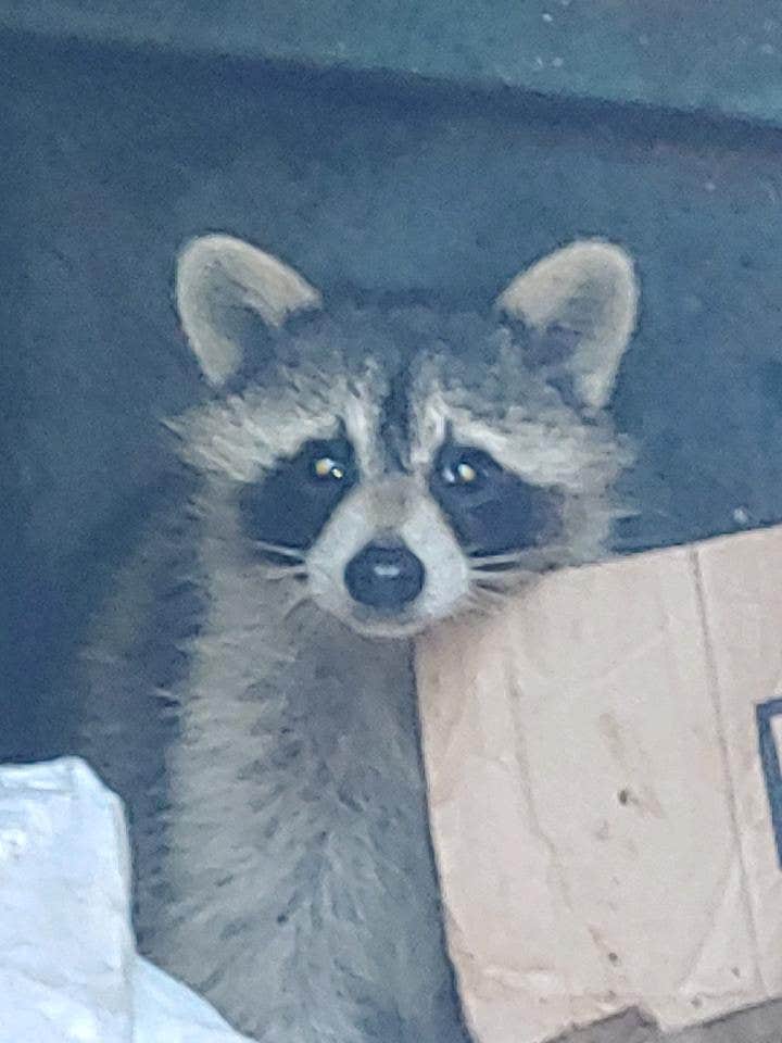 Camper-submitted photo at Vero Beach Kamp near Port St. Lucie, FL