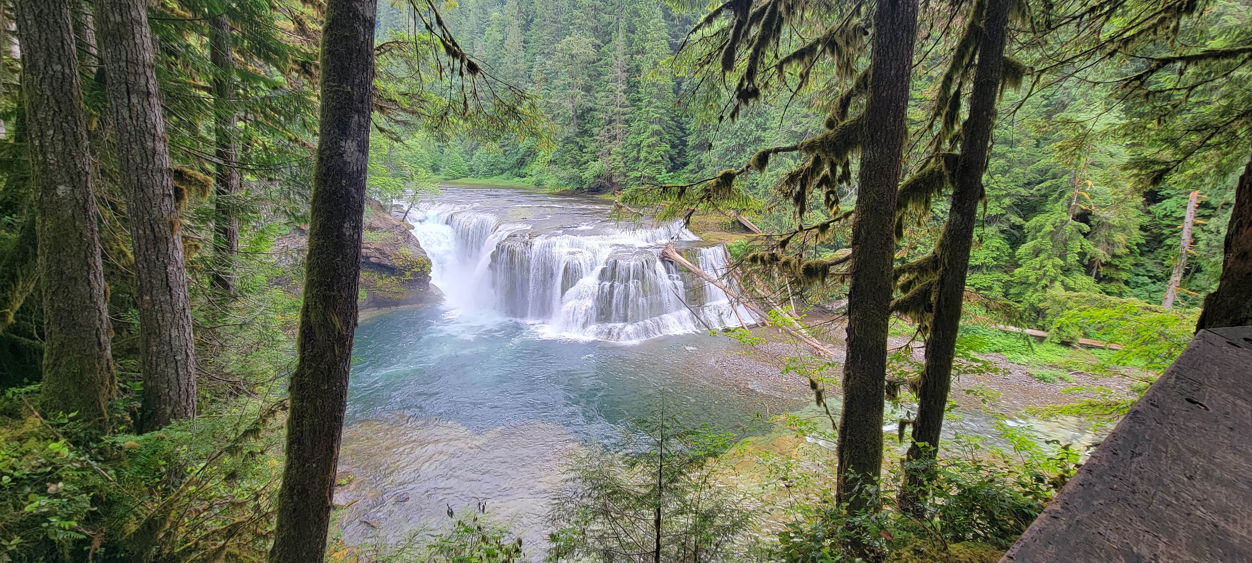 Camper-submitted photo at Lewis River Horse Camp near Cougar, WA