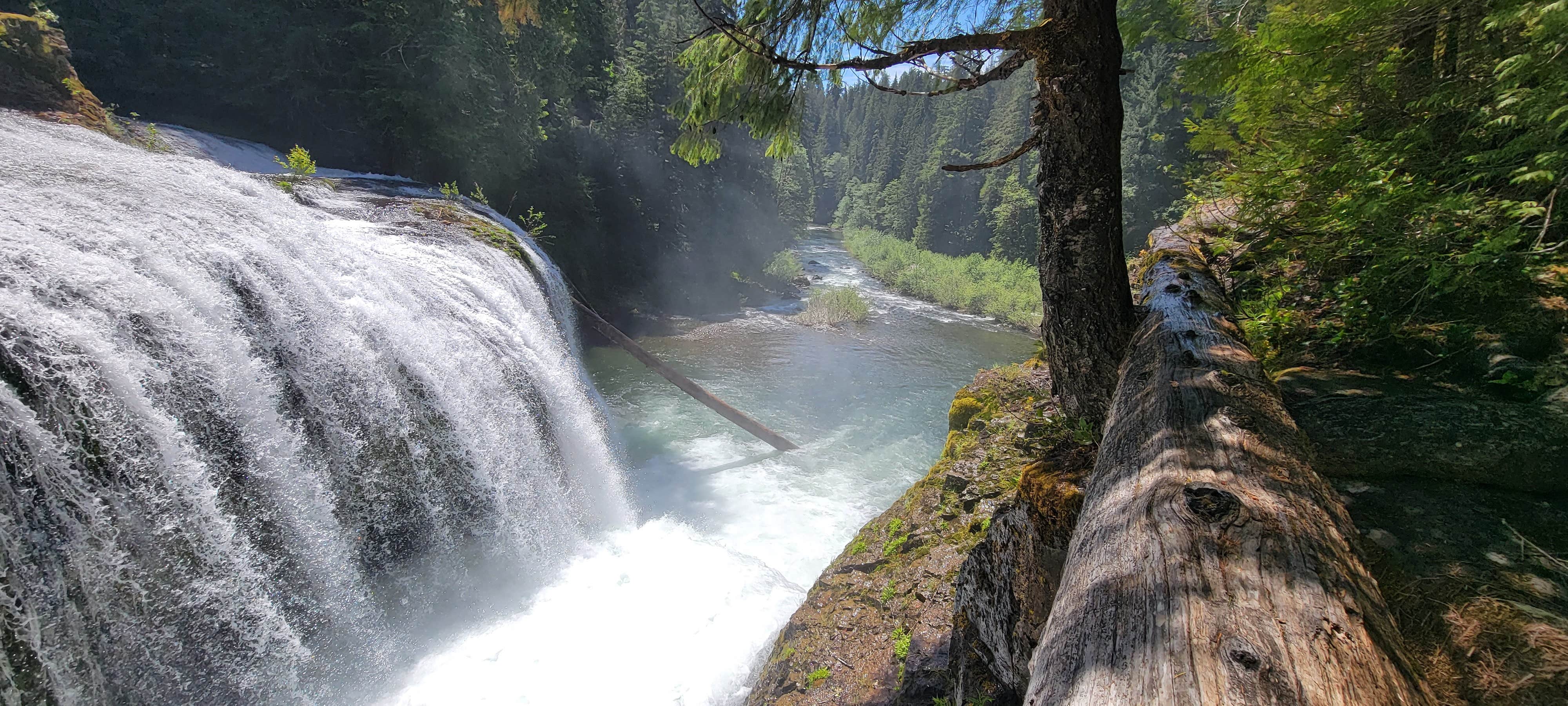 Camper submitted image from Lewis River Horse Camp - 1