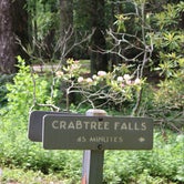 Review photo of Crabtree Falls Campground — Blue Ridge Parkway by Kacee Journey , July 7, 2022