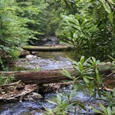 Review photo of Crabtree Falls Campground — Blue Ridge Parkway by Kacee Journey , July 7, 2022