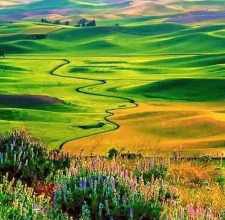 Camper-submitted photo at Tuc N Roll RV Park near Washtucna, WA