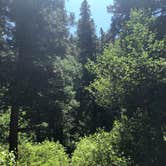 Review photo of Swan Creek Campground by allison W., June 30, 2022