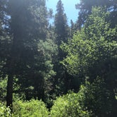 Review photo of Swan Creek Campground by allison W., June 30, 2022
