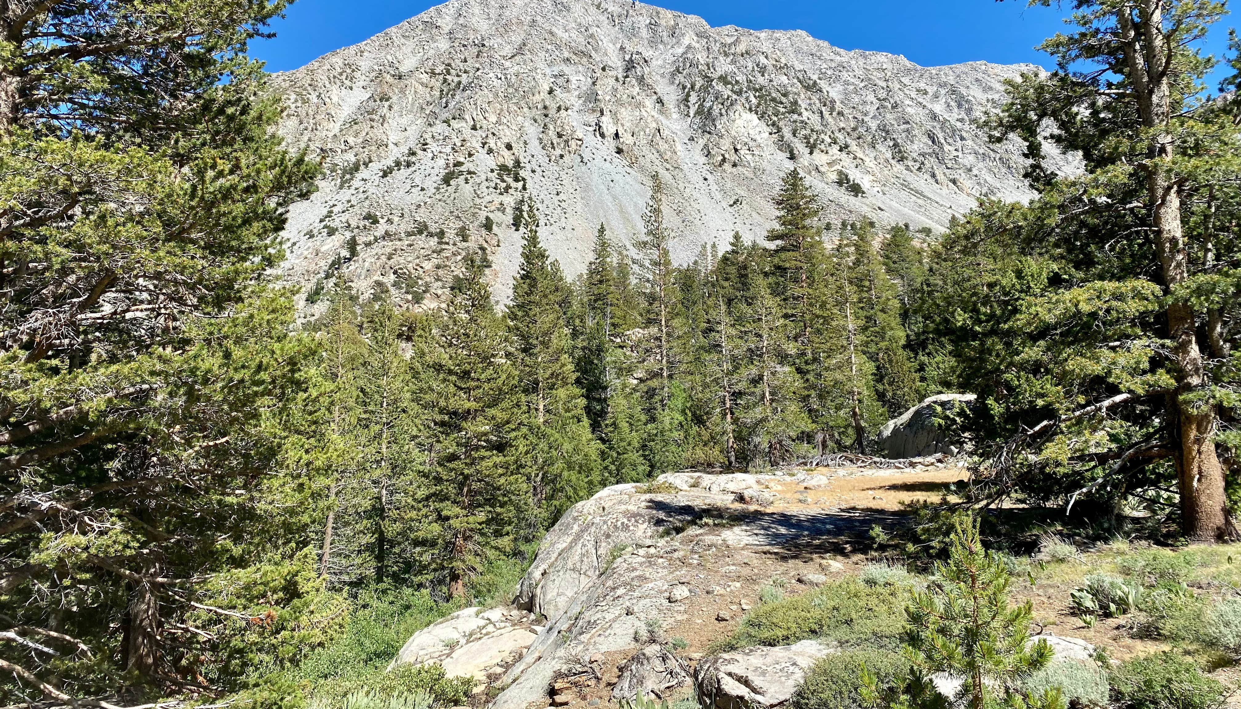 Yosemite National Park