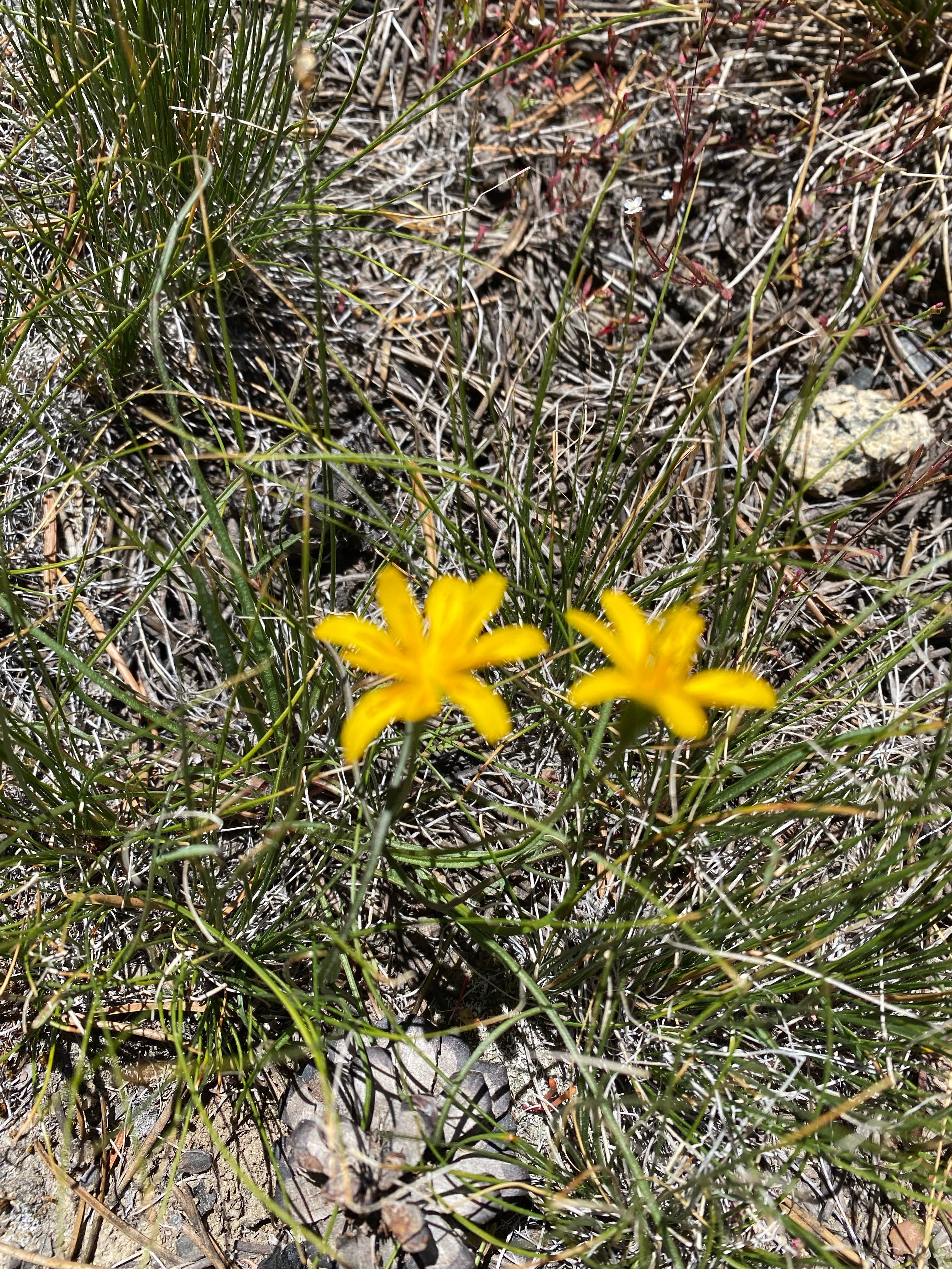 Camper-submitted photo at Green Lake test near Lee Vining, CA