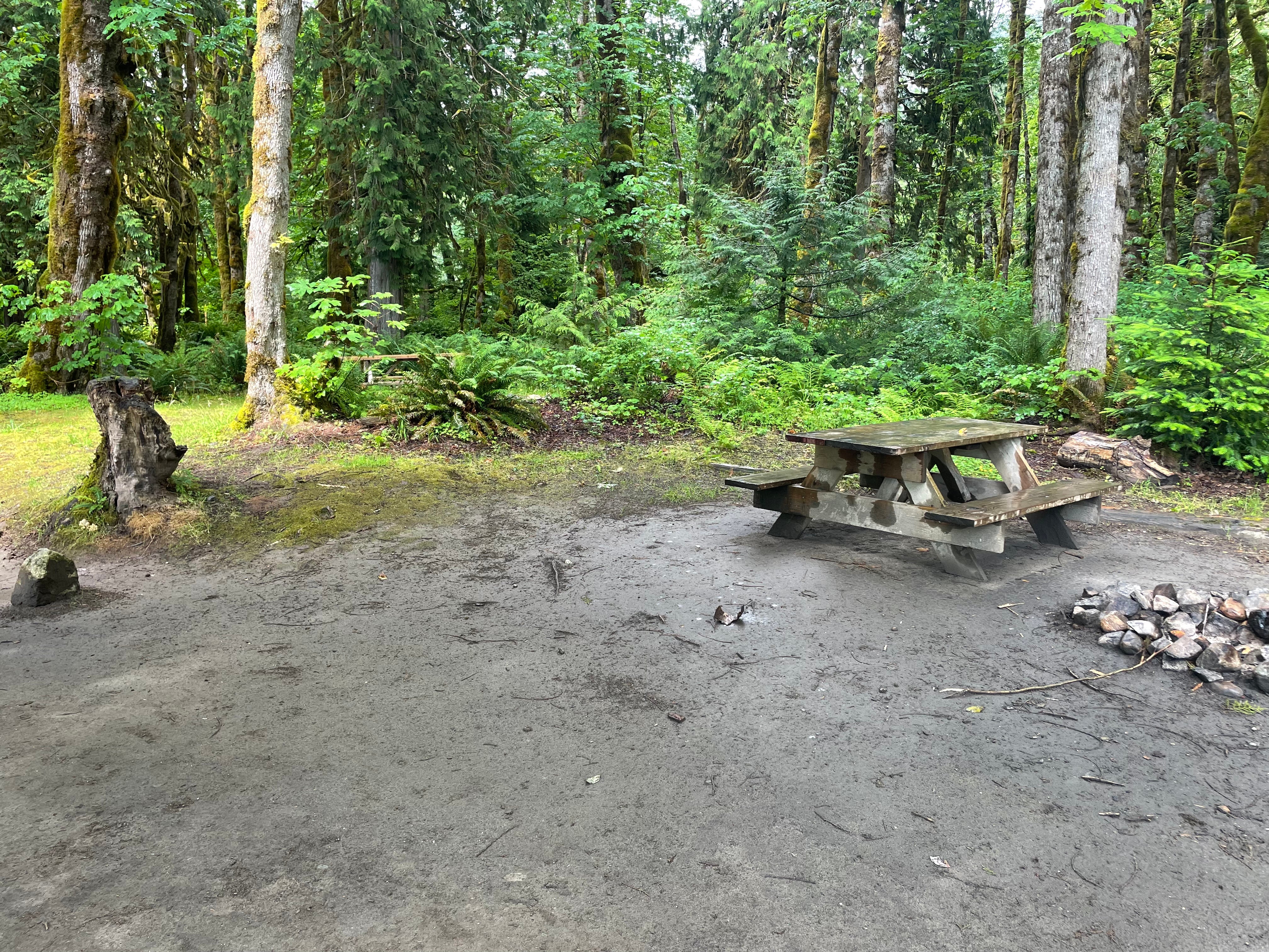 Camper submitted image from Cascade Wagon Road Campground - 2